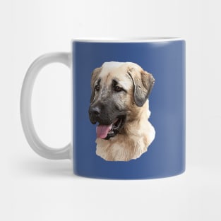 Kangal Shepherd Mug